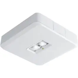VAN LIEN ABB VanLien - evago - EVA DLO X/CIS - noodverlichting decentraal 15x15cm - 231lm - 3W - Favoriet